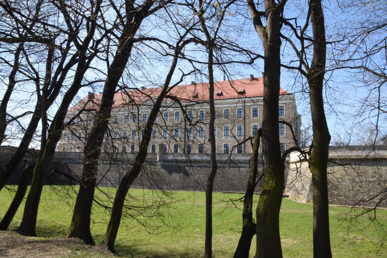 Apartament Nad Fontanna Rzeszów Extérieur photo